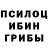 Псилоцибиновые грибы Psilocybine cubensis nodik43 ok