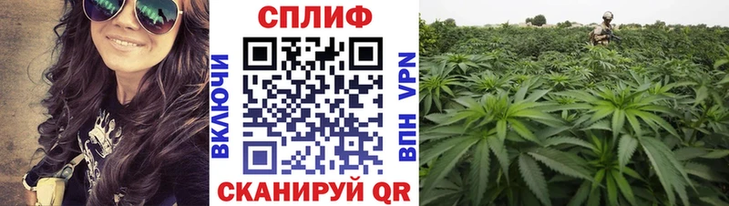 МАРИХУАНА марихуана  Видное 
